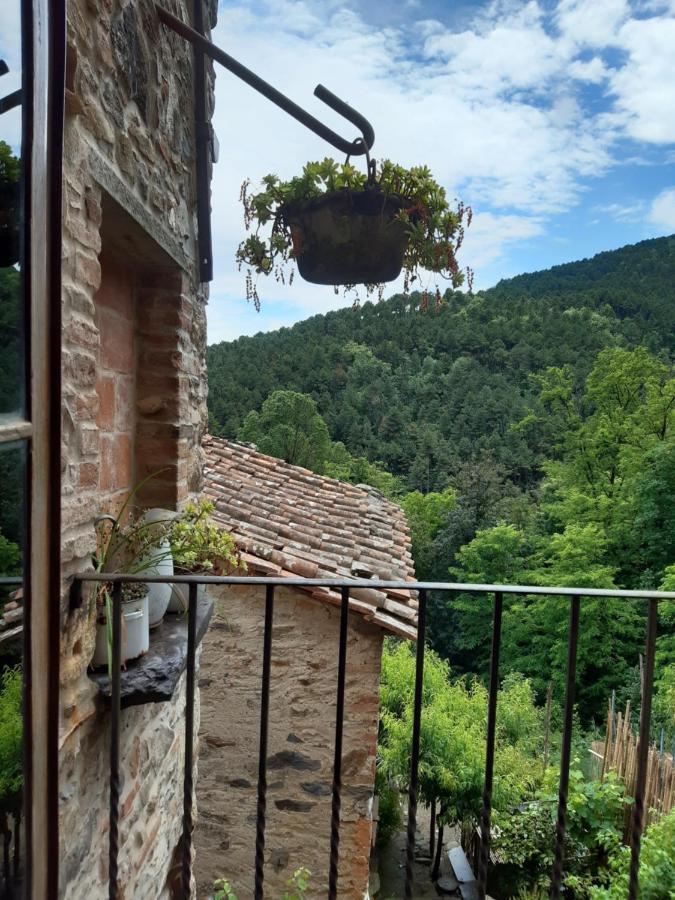 Locanda Del Capo Capannori Exterior photo